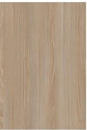 Casentino beech